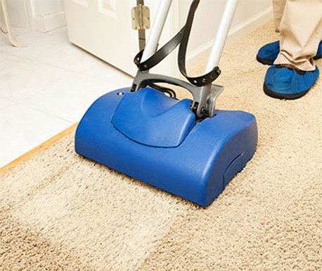 wellington carpet cleaning