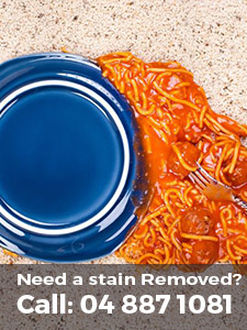 stain and spot removal wellington 