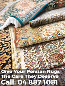 rug cleaning specialists wellington 