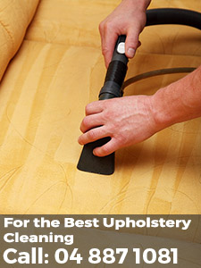 upholstery cleaning wellington
